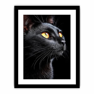   black cat portrait modern canvas print