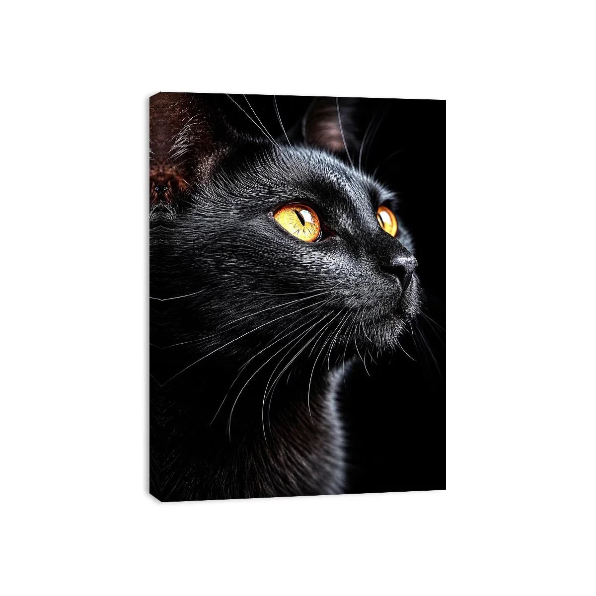   black cat portrait modern canvas print