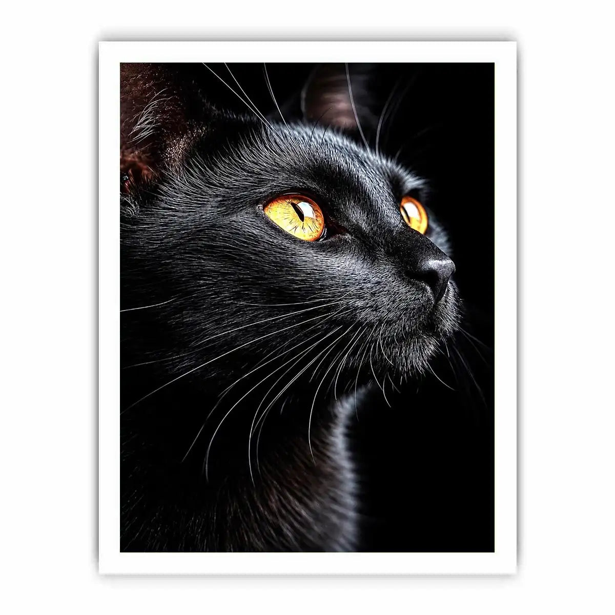   black cat portrait modern canvas print