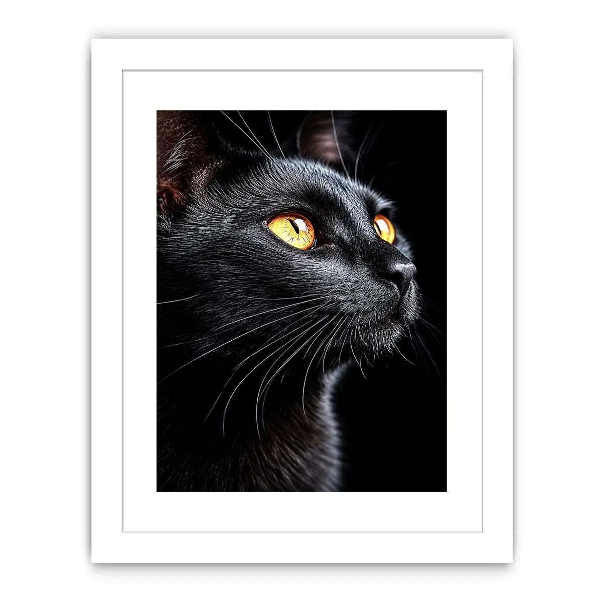   black cat portrait modern canvas print