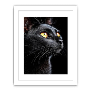   black cat portrait modern canvas print
