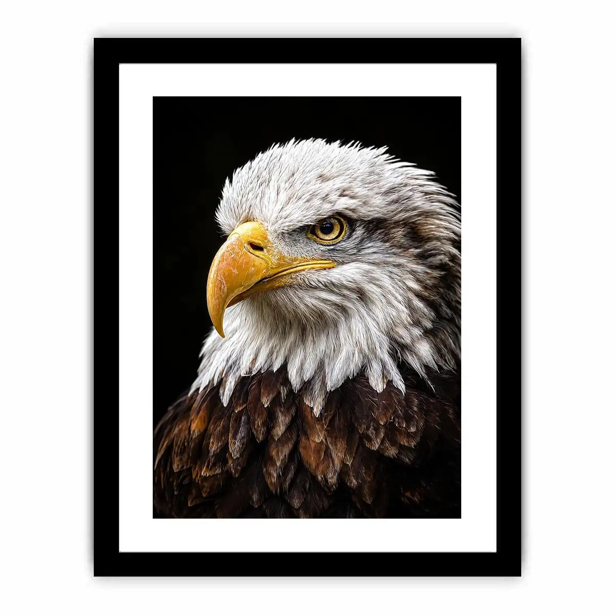   bald eagle office canvas art
