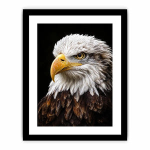   bald eagle office canvas art