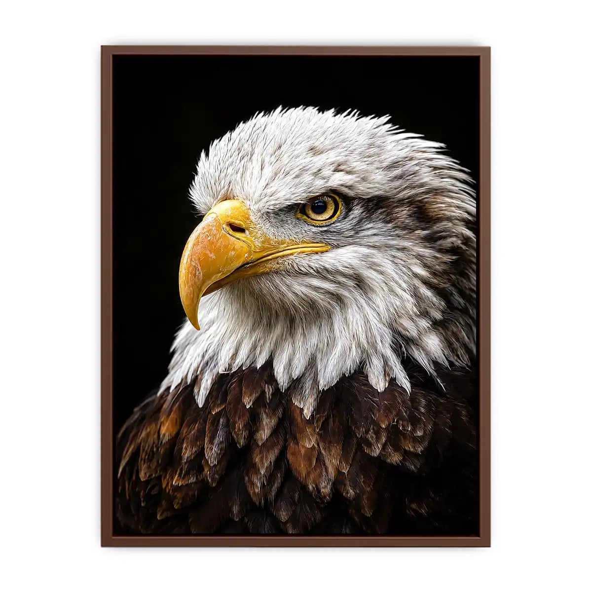   bald eagle office canvas art