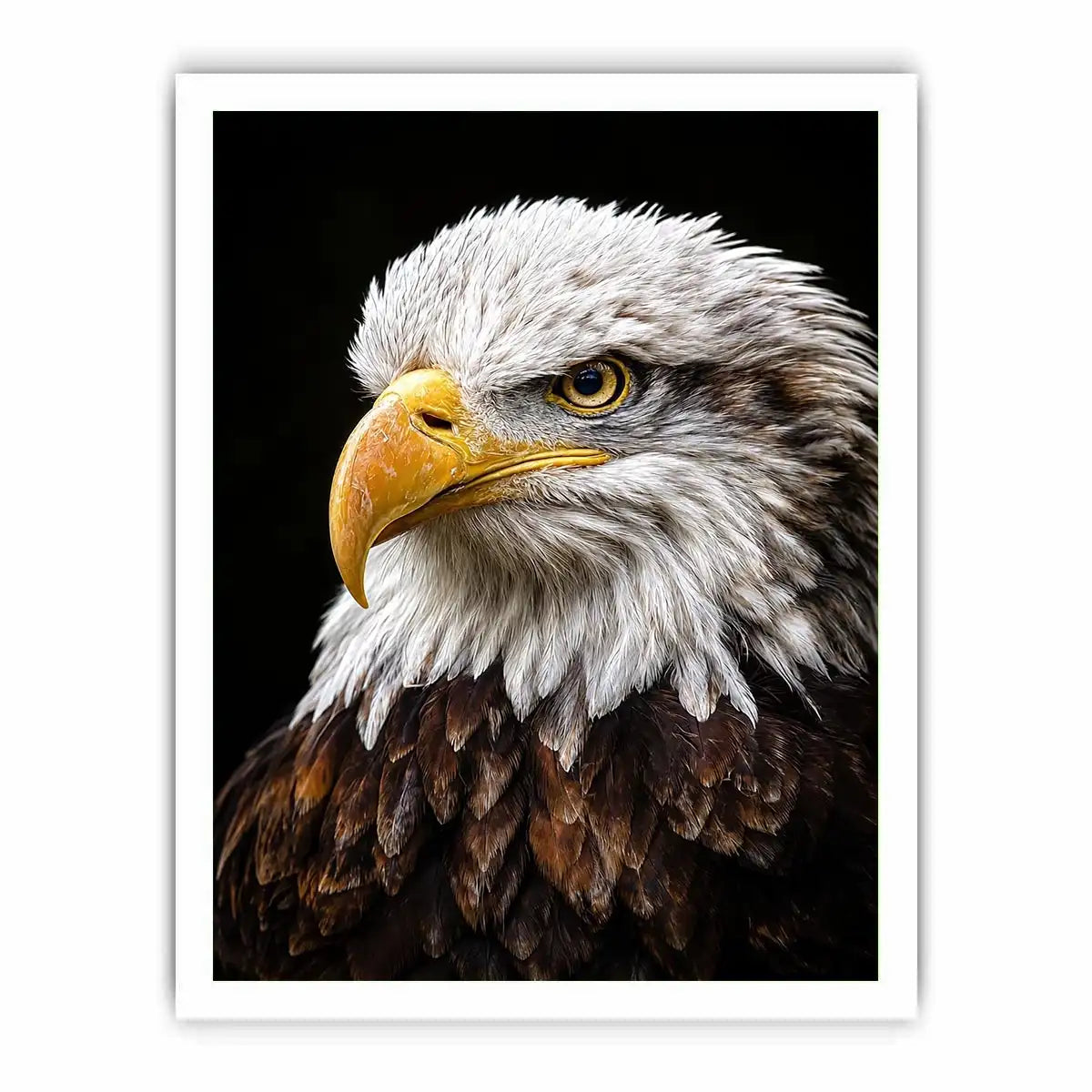   bald eagle office canvas art