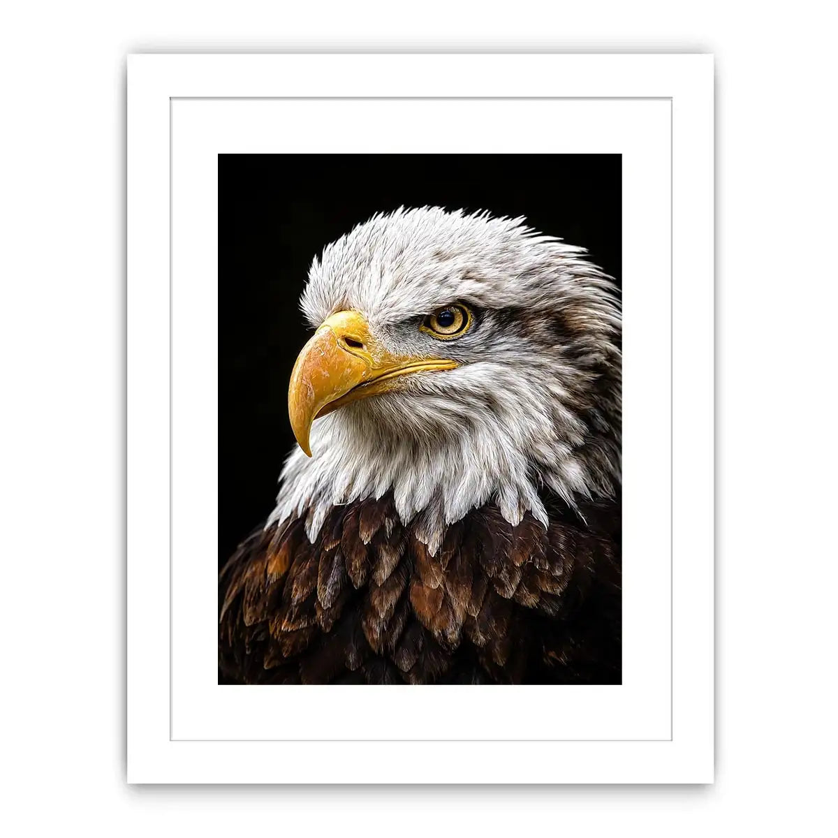  bald eagle office canvas art