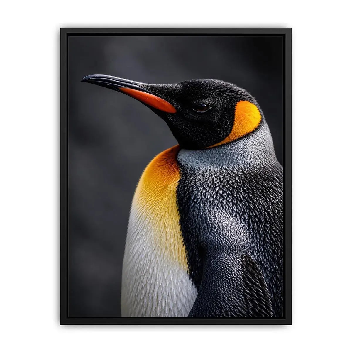   king penguin portrait canvas print bedroom