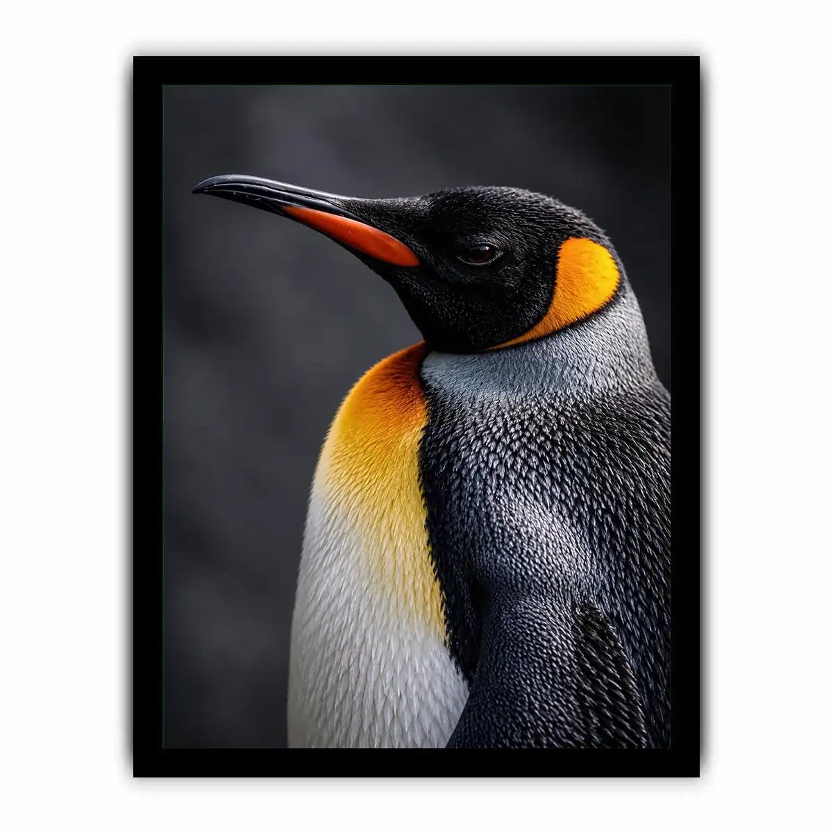   king penguin portrait canvas print bedroom