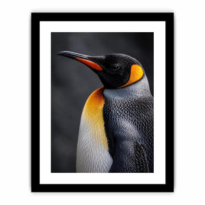   king penguin portrait canvas print bedroom