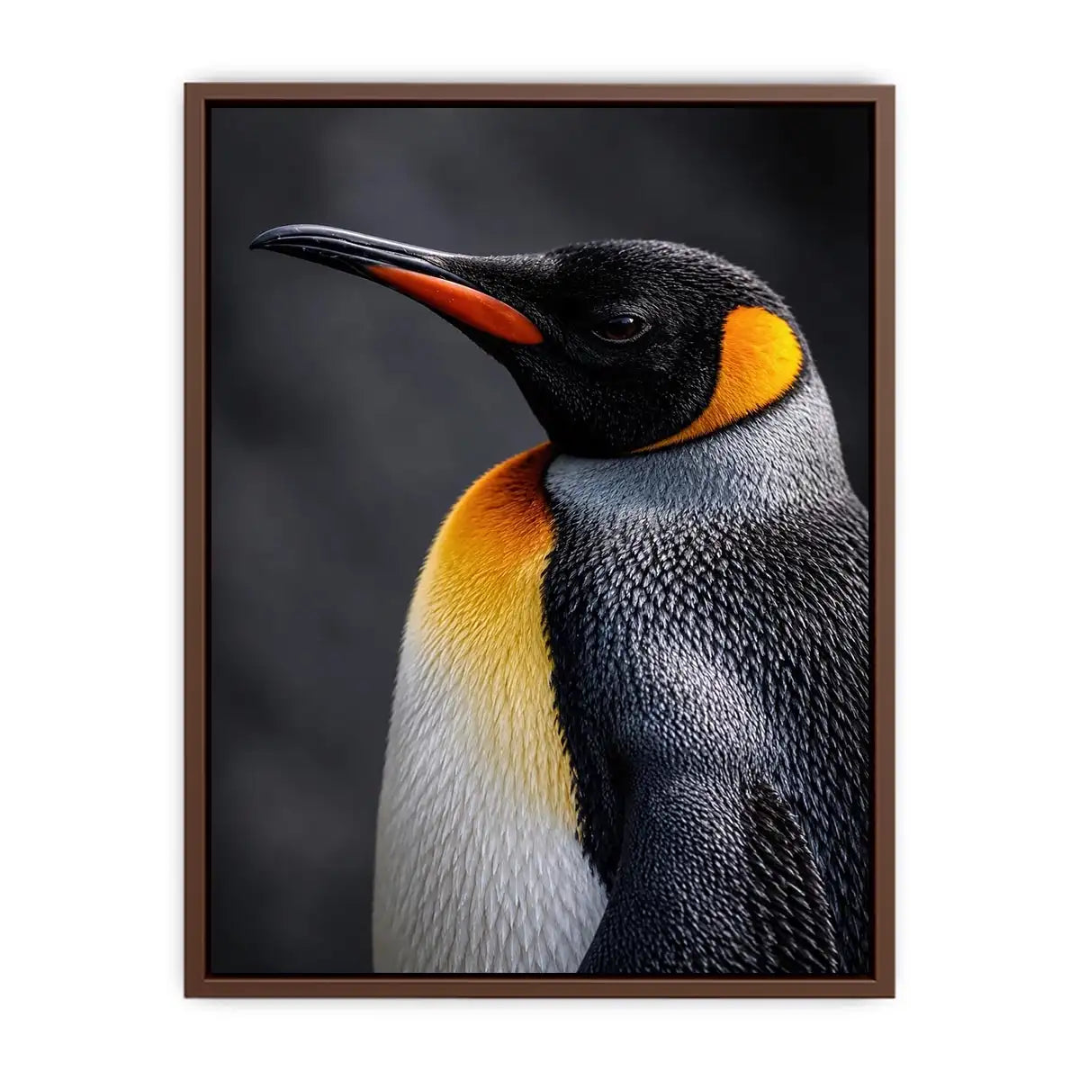   king penguin portrait canvas print bedroom