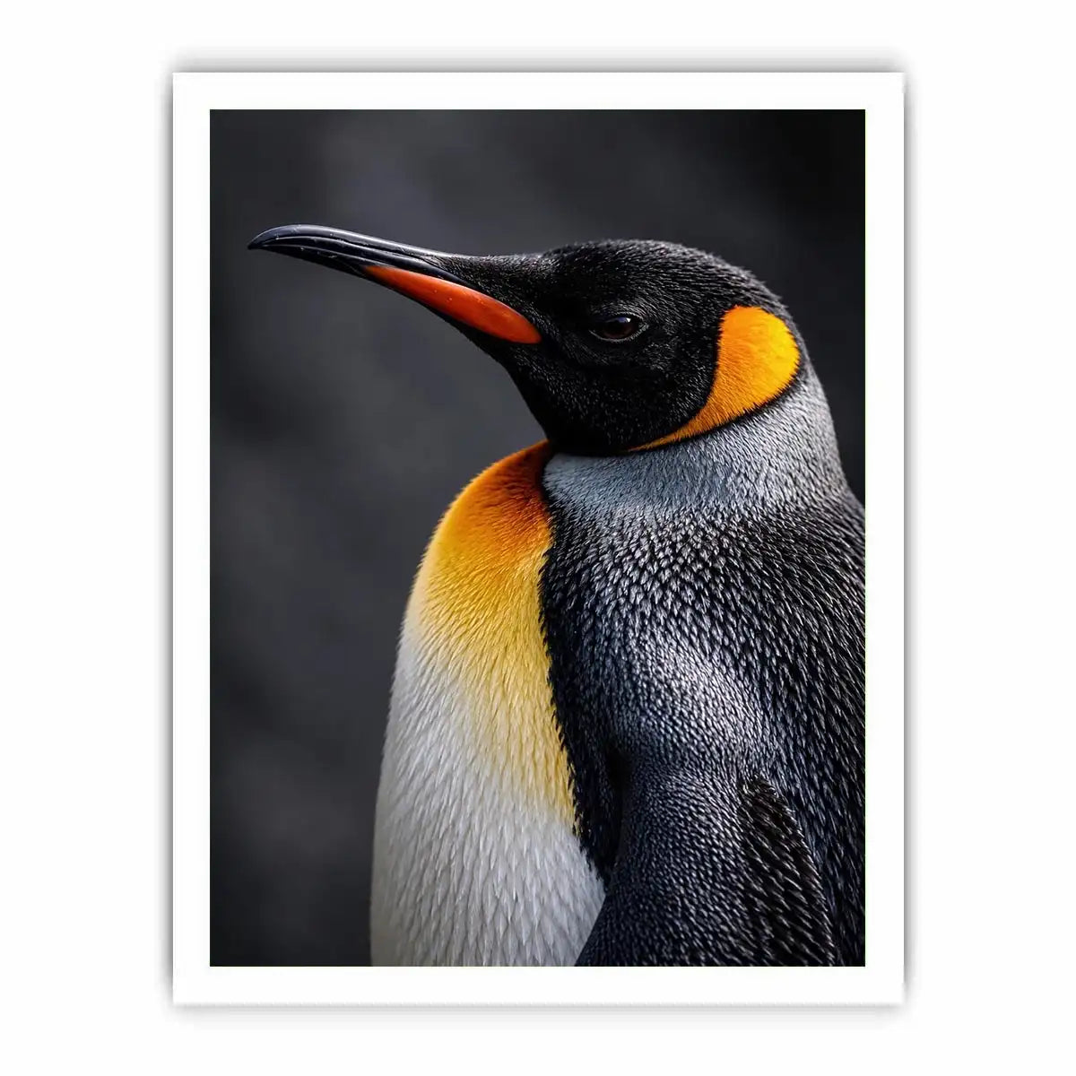   king penguin portrait canvas print bedroom