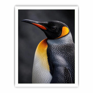   king penguin portrait canvas print bedroom