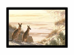 coastal kangaroo wildlife canvas beach house