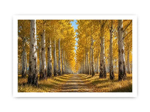   golden forest canvas print hallway decor