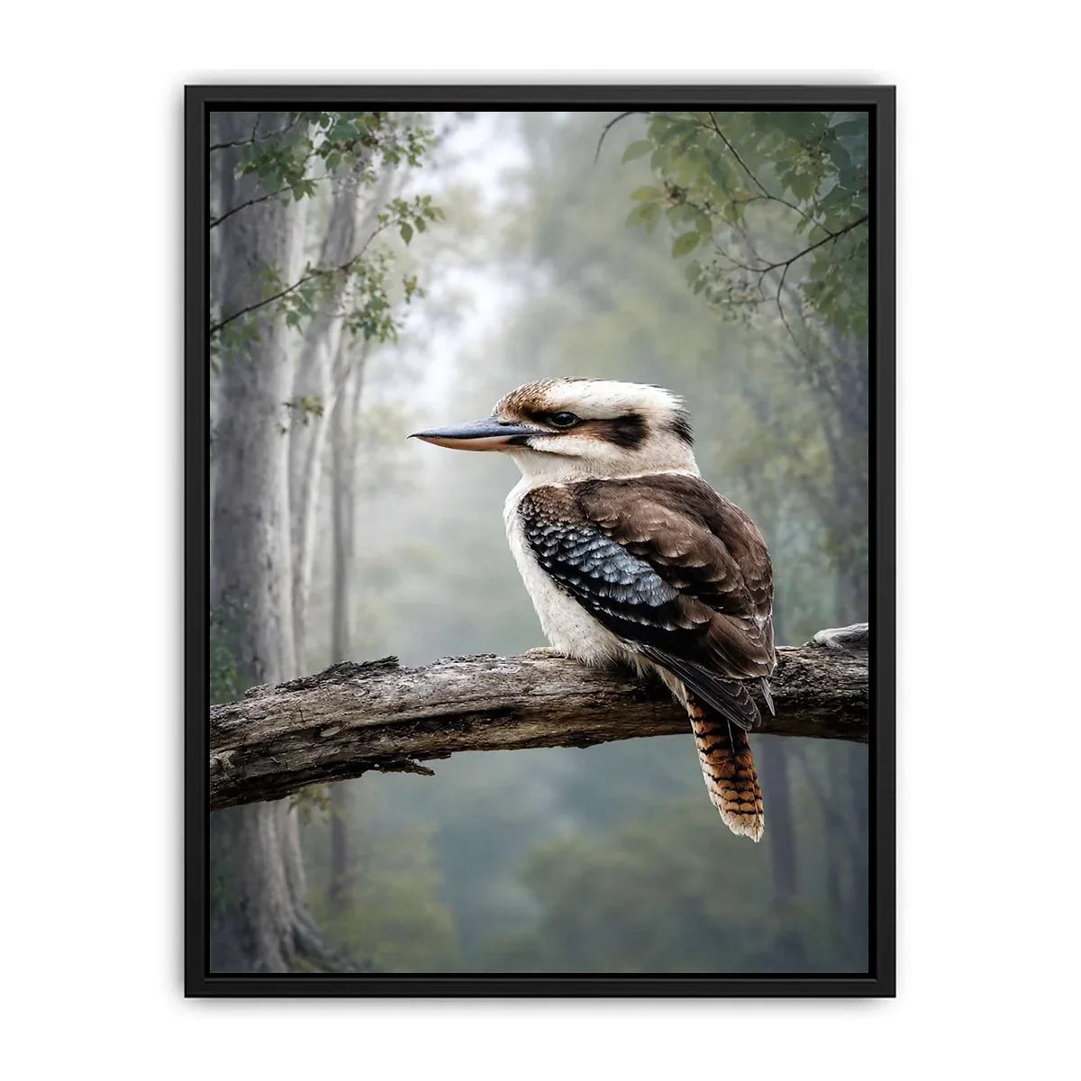   kookaburra forest bird canvas art