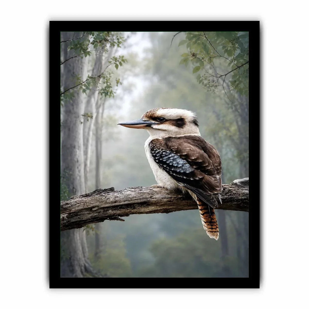   kookaburra forest bird canvas art