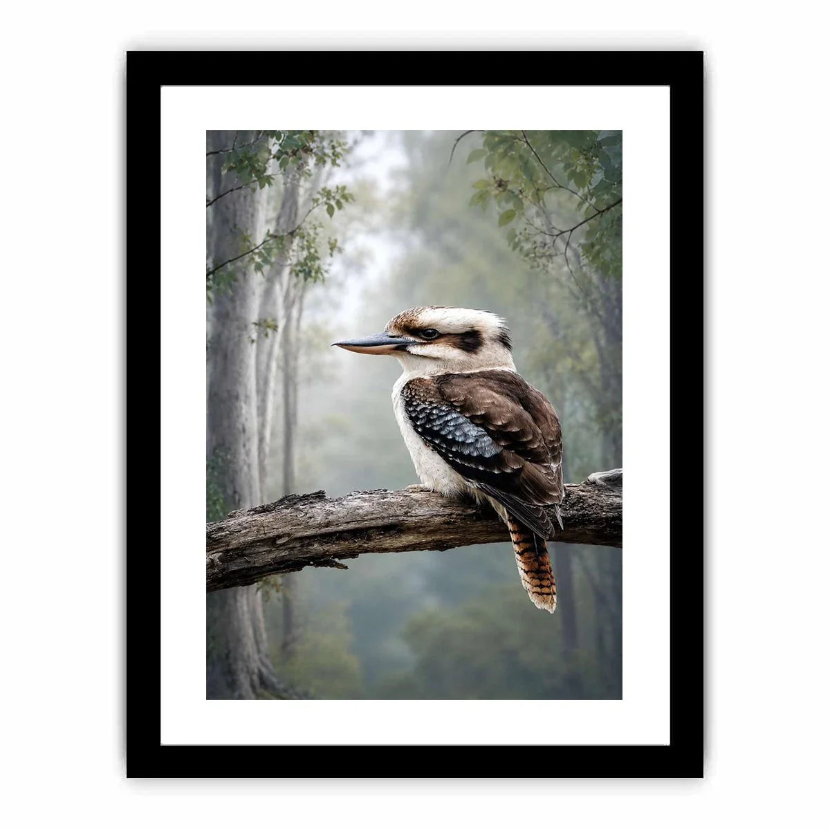   kookaburra forest bird canvas art