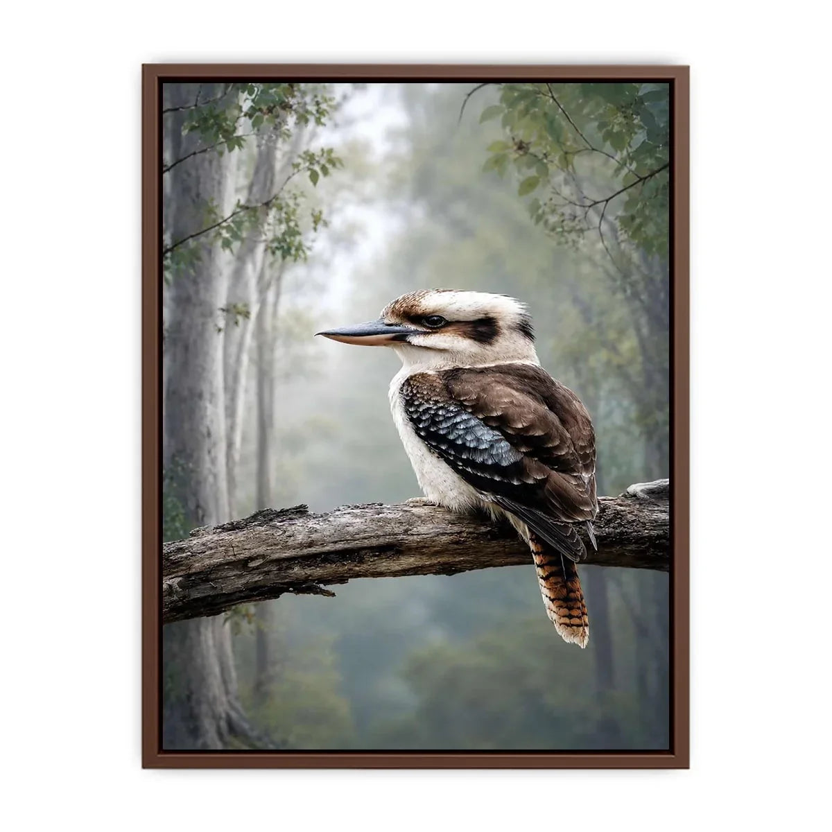   kookaburra forest bird canvas art