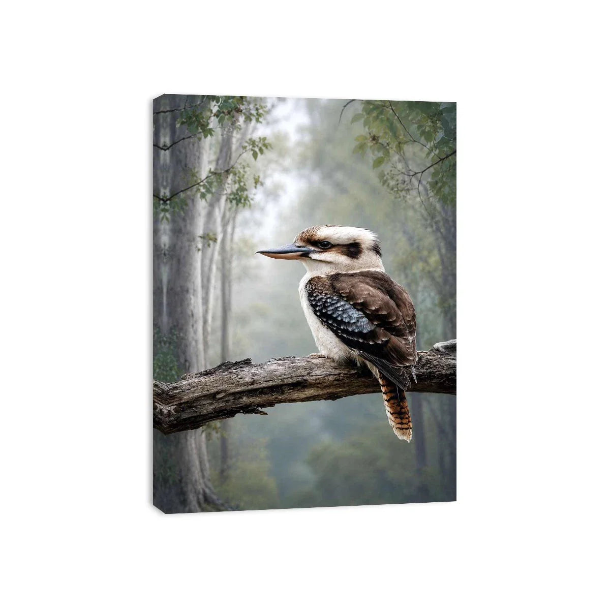   kookaburra forest bird canvas art