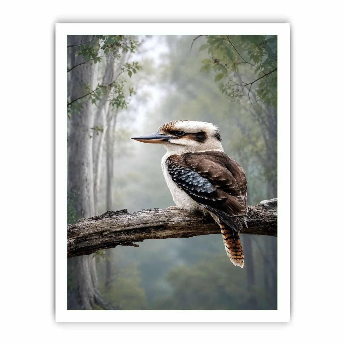   kookaburra forest bird canvas art