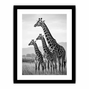 black white giraffe family canvas