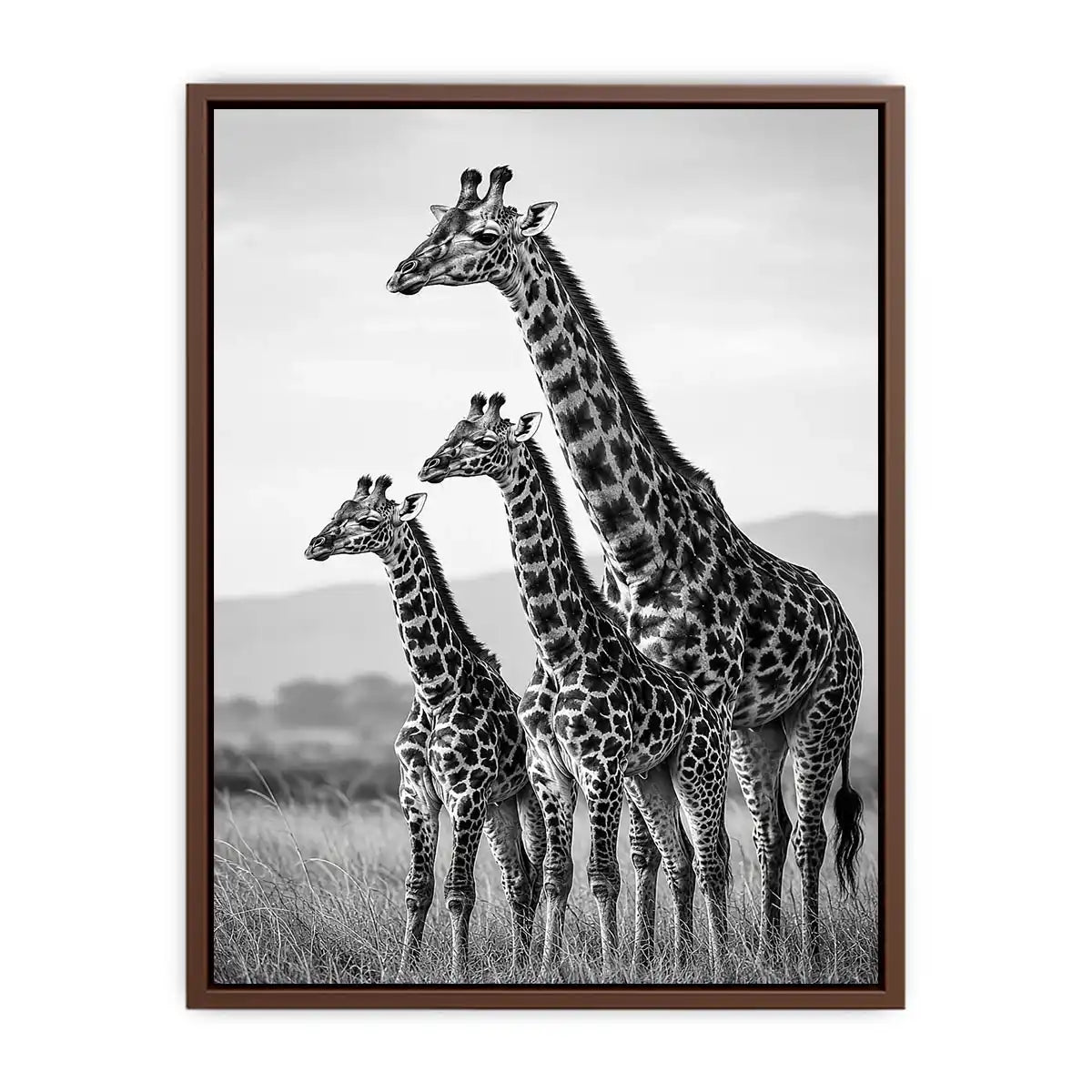 black white giraffe family canvas