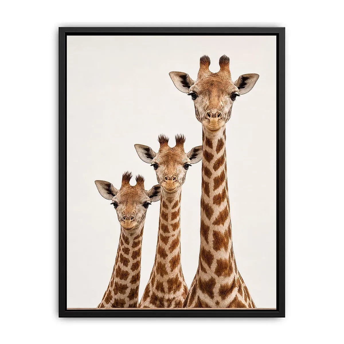 giraffe trio nursery canvas