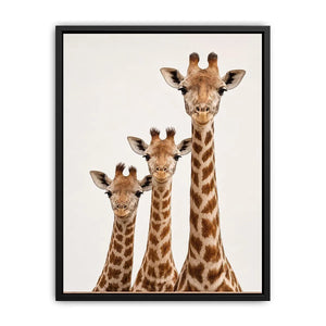 giraffe trio nursery canvas