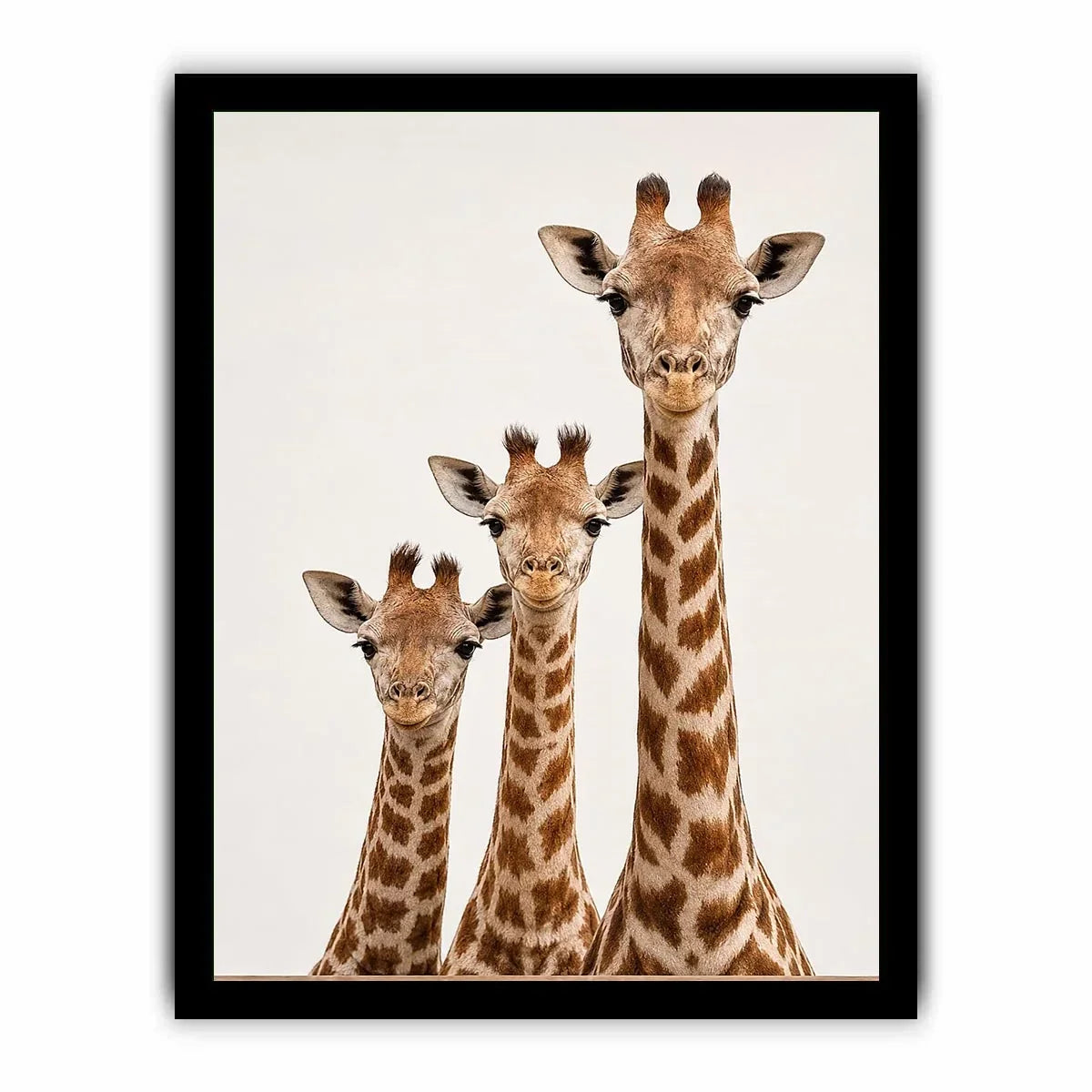 giraffe trio nursery canvas