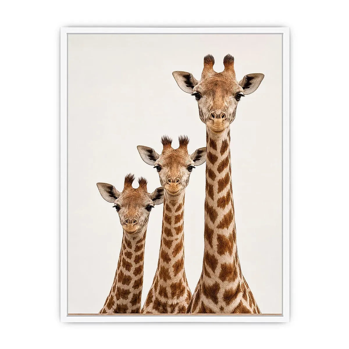 giraffe trio nursery canvas