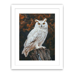 Sonwy Owl Canvas Painting 