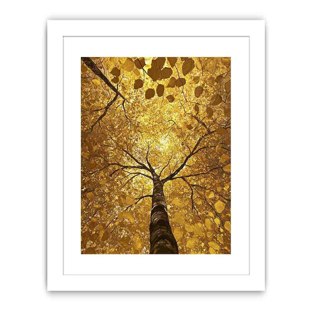 Looking Up Canvas Painting 