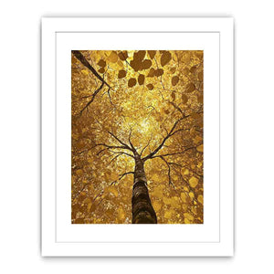 Looking Up Canvas Painting 