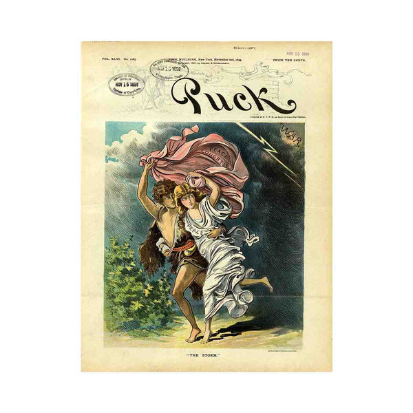  The Storm cartoon version