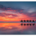 Cable Beach Sunset Camel  Panoramic Canvas Print