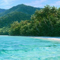 Cape Tribulation Panorama Canvas Print