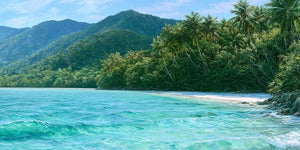 Cape Tribulation Panorama Canvas Print