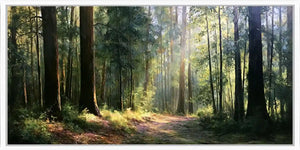 Australain Bush Forest  Panoramic painting