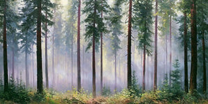 Evergreen Forest  Panoramic painting