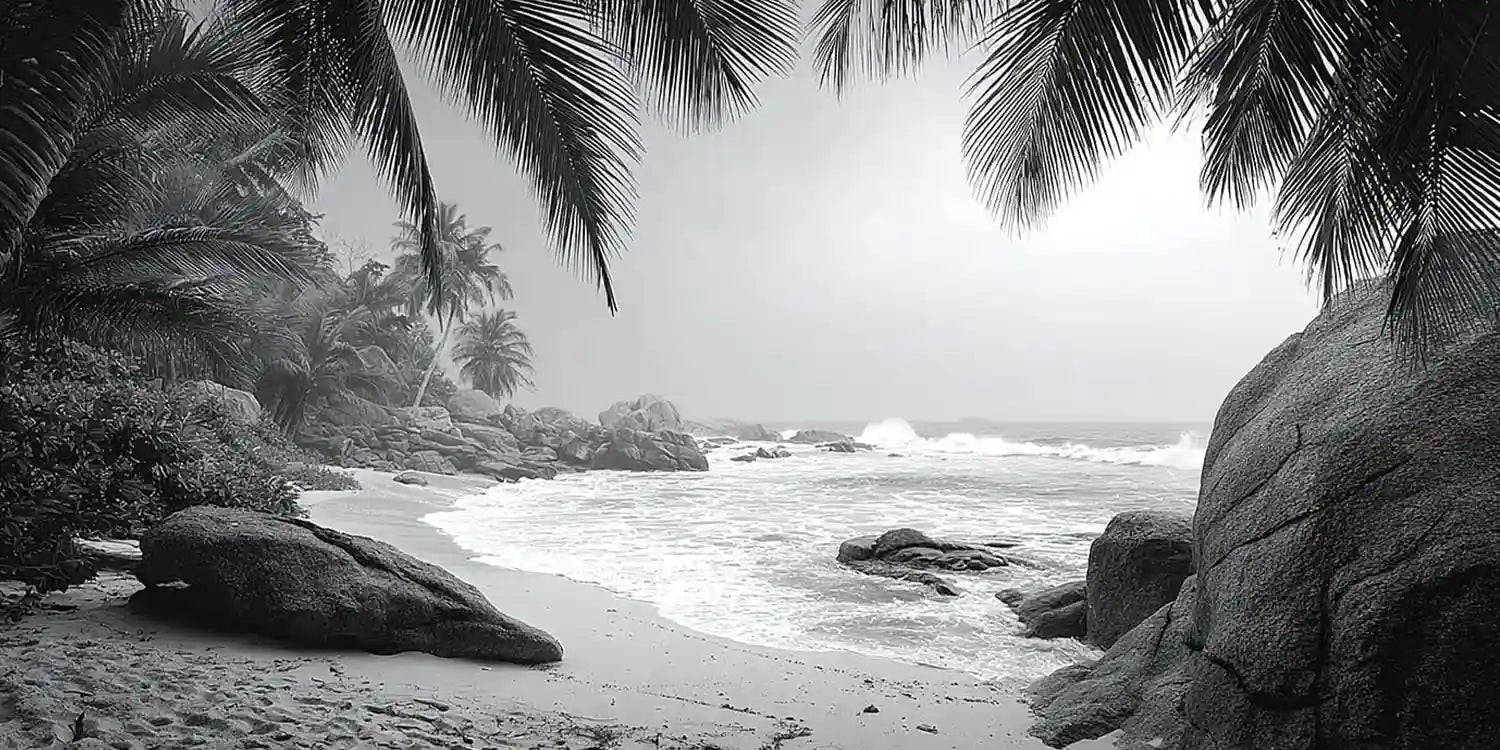 Tropical Monochrome Panoramic Canvas Print