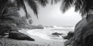 Tropical Monochrome Panoramic Canvas Print