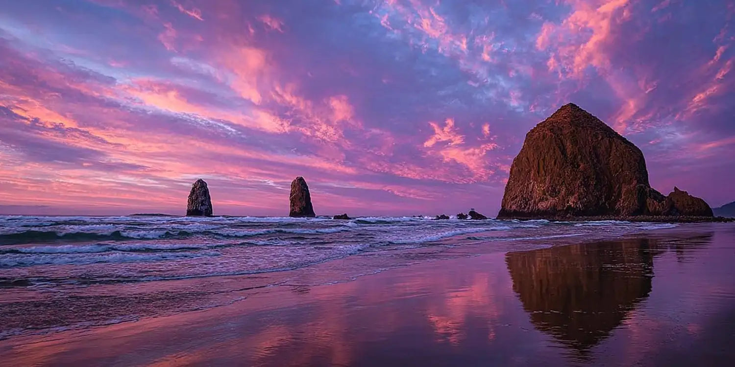Violet Seastacks Panoramic Canvas Print