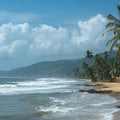 Palm Coast Calm Panoramic Canvas Print