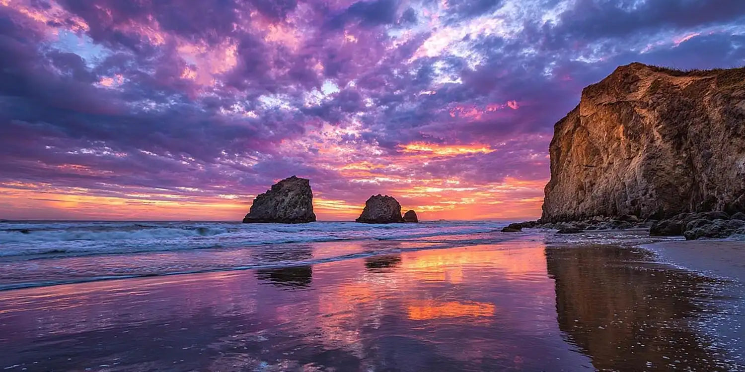 Violet Tide Reflection Panoramic Canvas Print