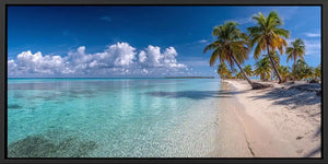 Crystal Palm Shore Panoramic Canvas Print