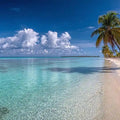 Crystal Palm Shore Panoramic Canvas Print