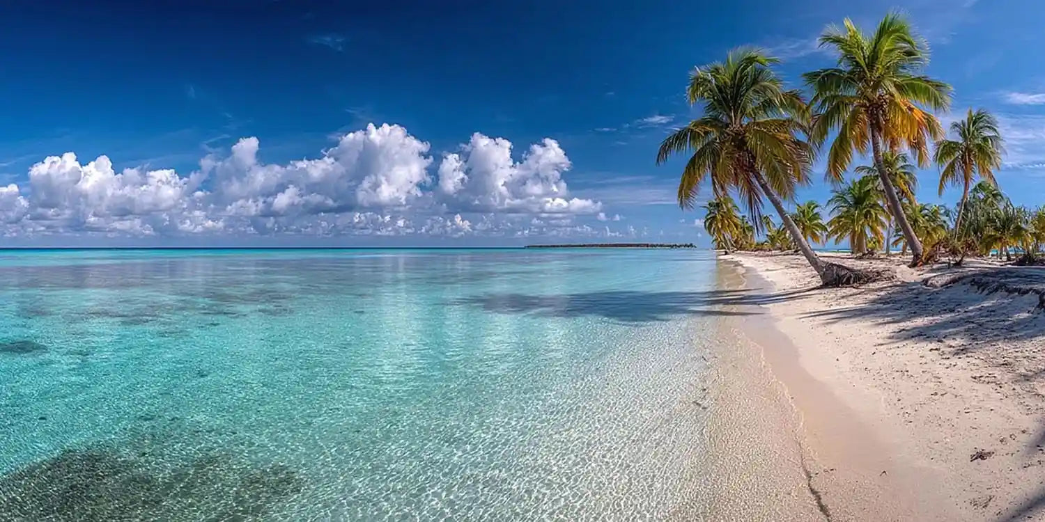 Crystal Palm Shore Panoramic Canvas Print
