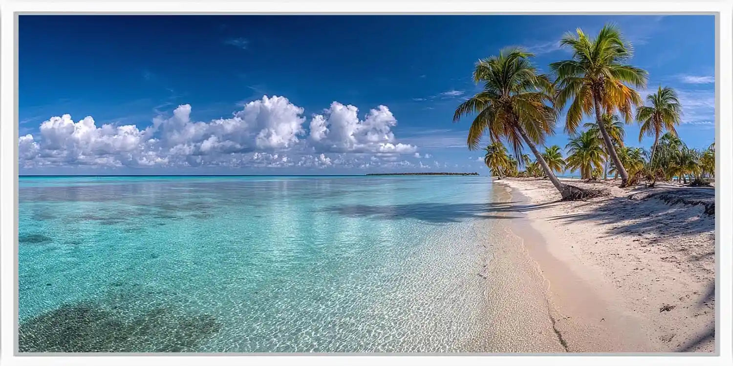 Crystal Palm Shore Panoramic Canvas Print