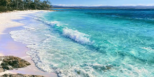 Jervis Bay Coastal Paradise 