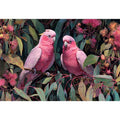 Galahs